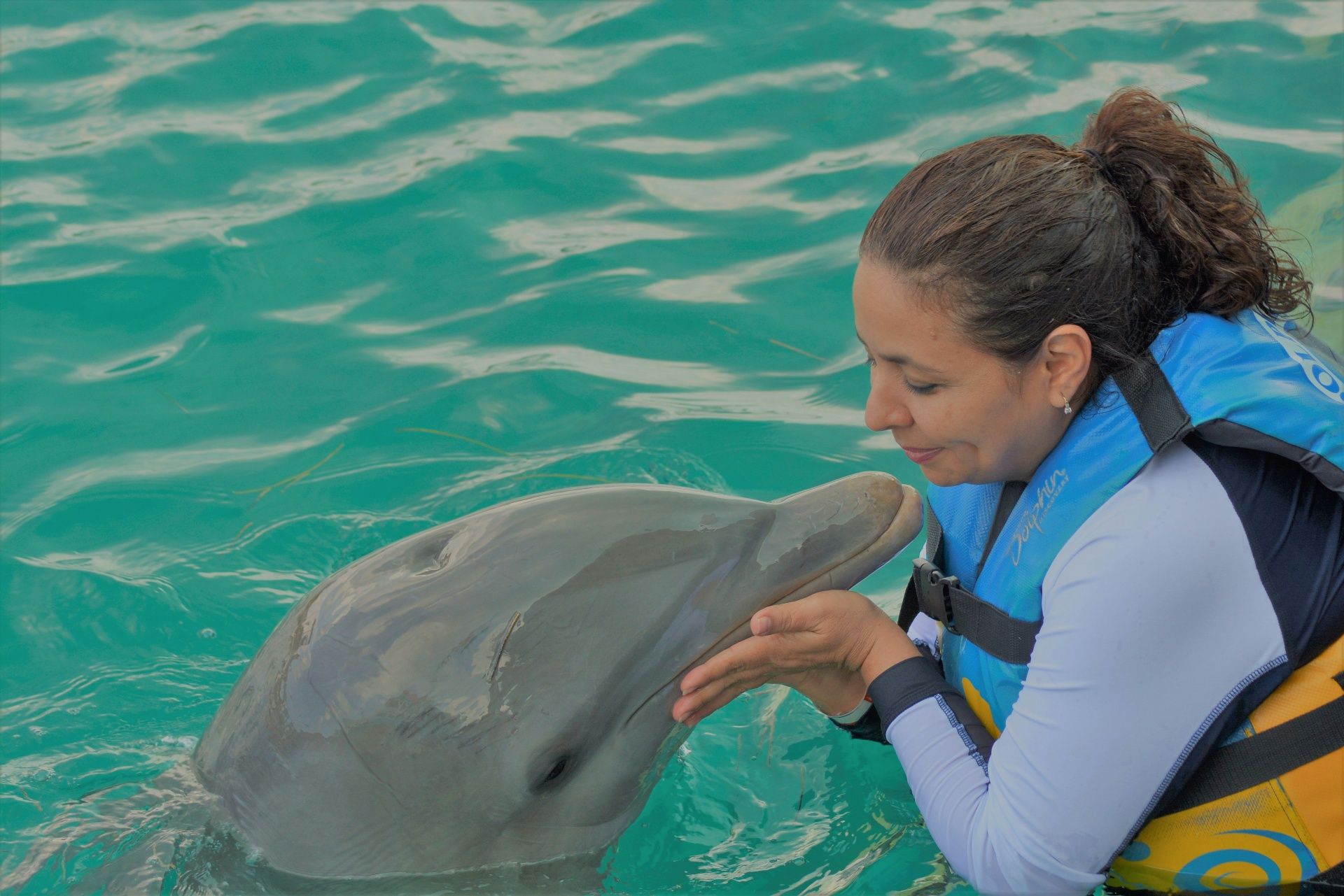 The Johnsons on their Dolphin Tour tour