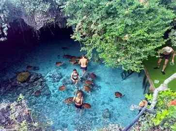 Salaam Turtle Cave